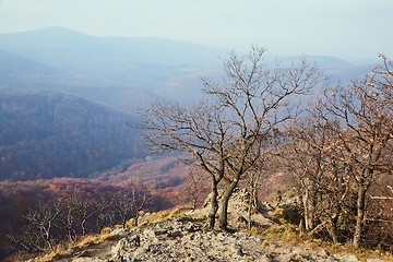 Image showing Hilly landscape with autumn trees