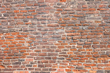 Image showing wall texture