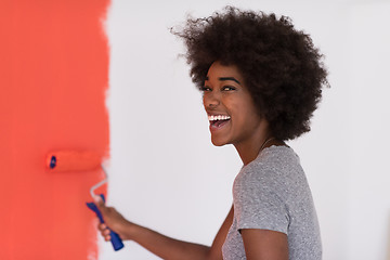 Image showing black woman painting wall