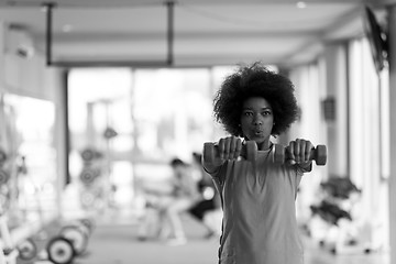 Image showing woman working out in a crossfit gym with dumbbells