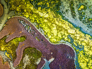 Image showing Colours and textures of Nangudga Lake Australia