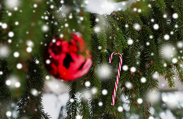 Image showing candy cane and christmas ball on fir tree branch