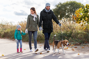 Image showing happy family walking with beagle dog in autumn