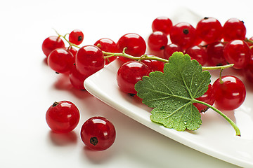 Image showing Currant berries