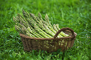 Image showing Asparagus