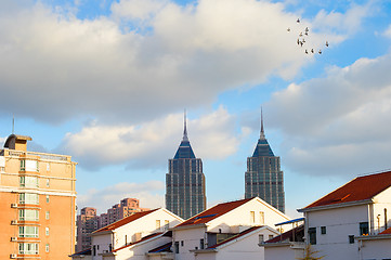 Image showing Shanghai birds