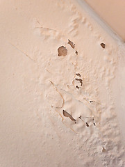 Image showing Damp moisture damage