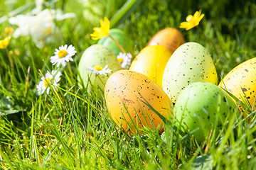 Image showing colored Easter eggs hidden in flowers and grass