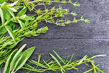 Image showing Frame of spicy herbs on black wooden board