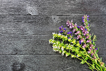 Image showing Savory leaves and flowers on black board