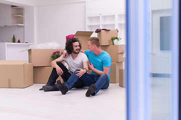 Image showing young  gay couple moving  in new house