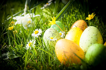 Image showing colored Easter eggs hidden in flowers and grass