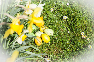 Image showing colored Easter eggs hidden in flowers and grass