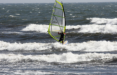 Image showing surfing