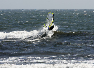 Image showing surfing