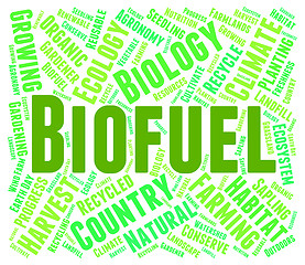 Image showing Biofuel Word Means Green Energy And Biogas