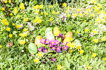 Image showing colored Easter eggs hidden in flowers and grass