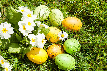 Image showing colored Easter eggs hidden in flowers and grass