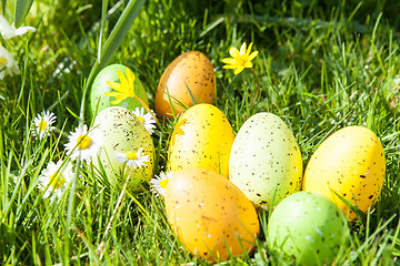 Image showing colored Easter eggs hidden in flowers and grass