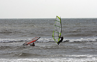 Image showing surfing