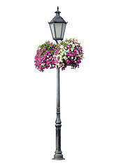 Image showing Lamppost with hanging flowers, isolated