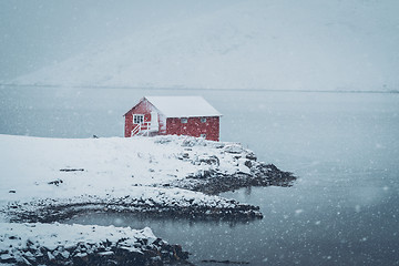 Image showing Red rorbu house in winter, Lofoten islands, Norway