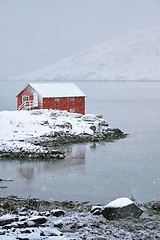 Image showing Red rorbu house in winter, Lofoten islands, Norway