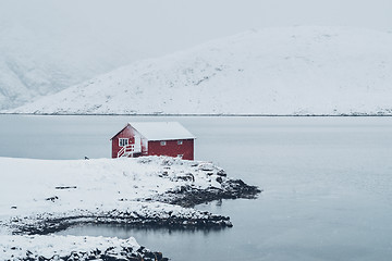 Image showing Red rorbu house in winter, Lofoten islands, Norway