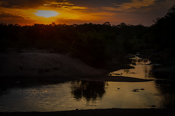 Image showing Beautiful sunset with hippos in the river