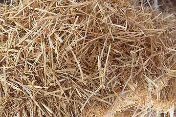 Image showing Straw Hay