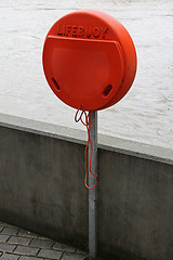 Image showing Lifebuoy