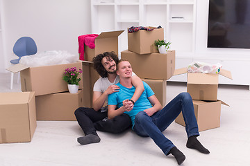 Image showing young  gay couple moving  in new house
