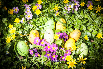 Image showing colored Easter eggs hidden in flowers and grass