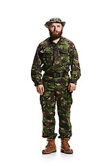 Image showing Young army soldier wearing camouflage uniform isolated on white