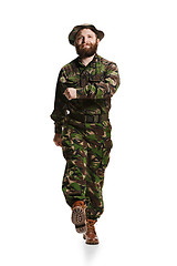 Image showing Young army soldier wearing camouflage uniform isolated on white