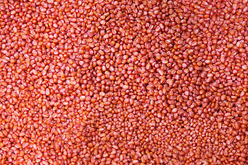 Image showing Red Seeds