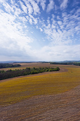 Image showing Spring landscape with field, forest and sky