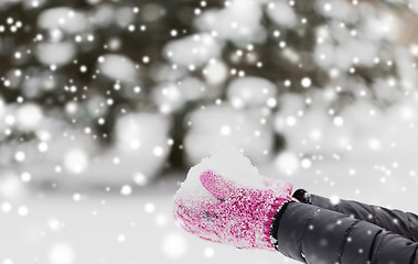 Image showing close up of woman holding snow outdoors