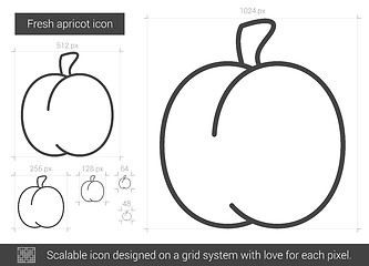 Image showing Fresh apricot line icon.