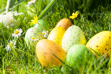 Image showing colored Easter eggs hidden in flowers and grass