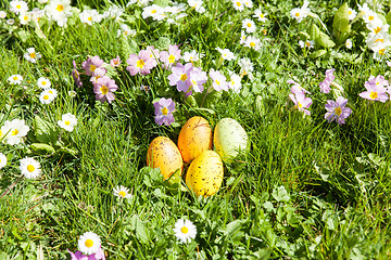 Image showing colored Easter eggs hidden in flowers and grass