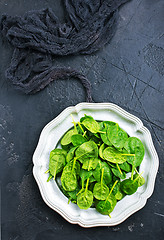 Image showing spinach