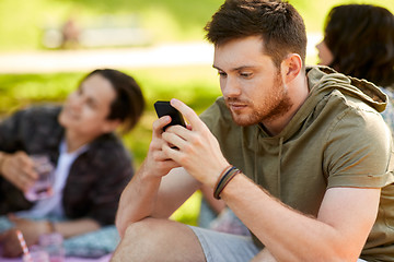 Image showing man using smartphone at picnic with friends