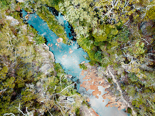 Image showing High above the trees looking down on fresh water rock pools