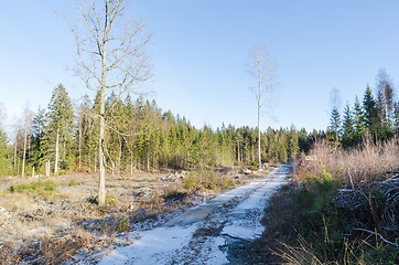 Image showing Snowy country road in the woods