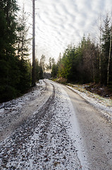 Image showing Snowy gravel road in the woods