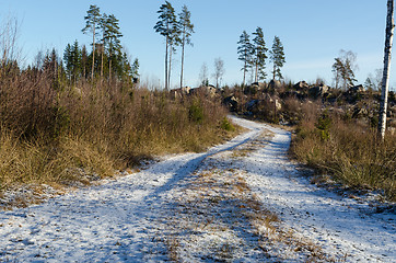 Image showing Snowy dirt road