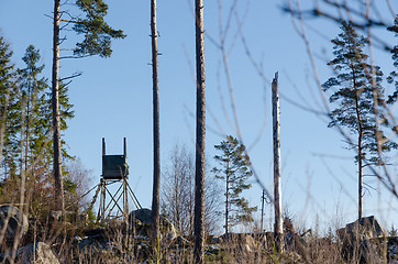 Image showing Hunting tower in the woods