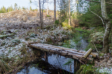 Image showing Bridge made of logs in the wilderness