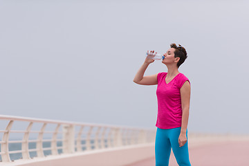 Image showing Fitness woman drinking water